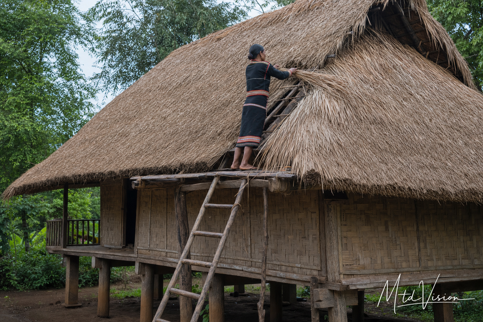 To thatch a roof.