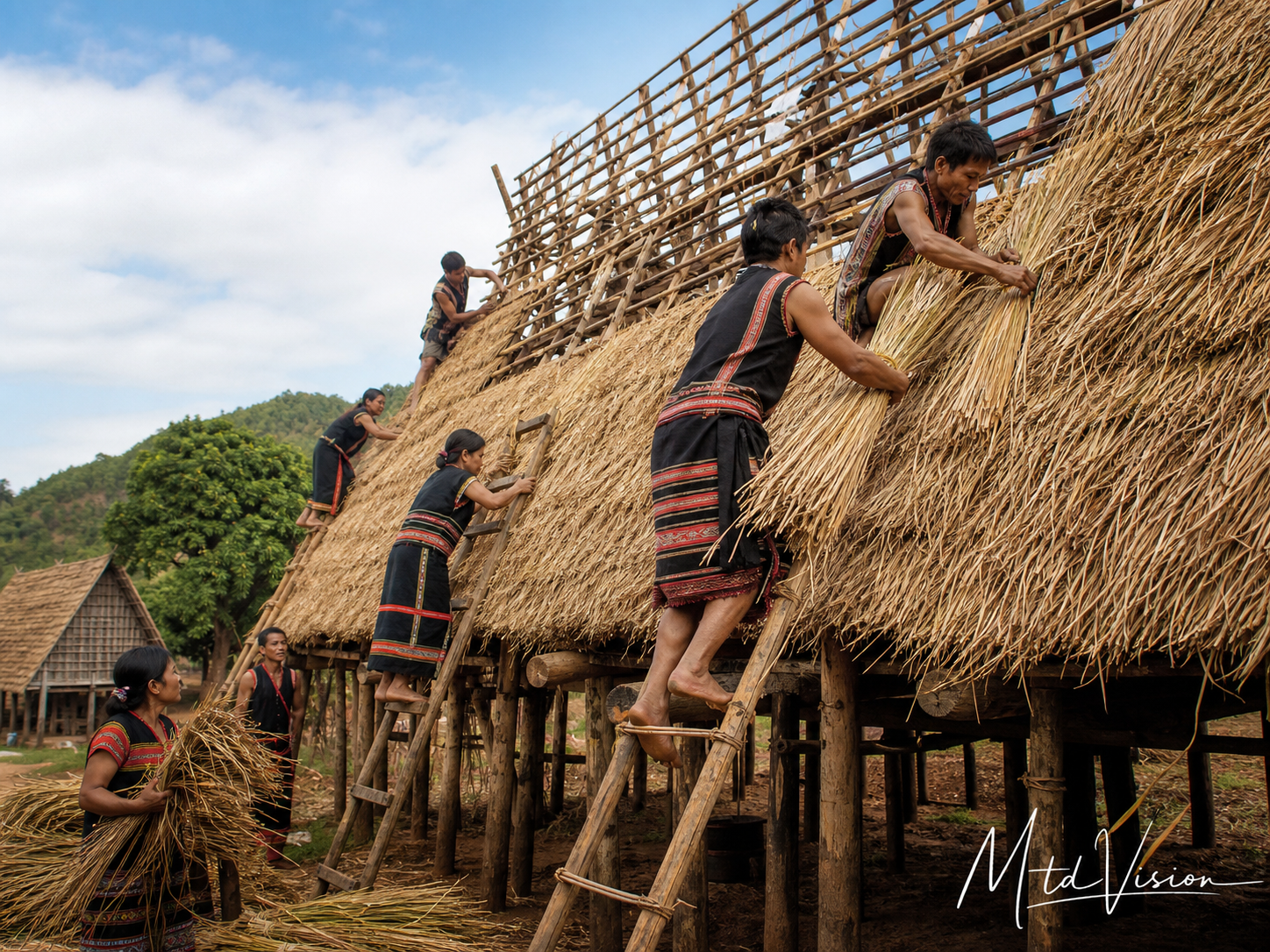 bi atăm: to thatch a roof, plural.