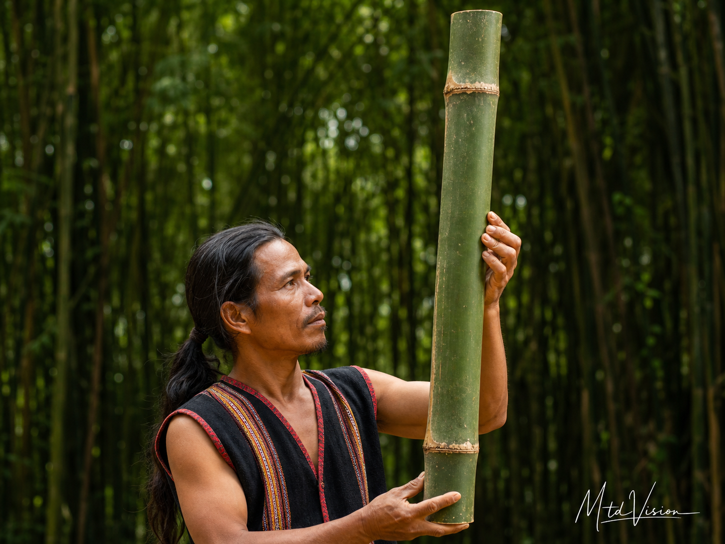 Internode section of bamboo.
