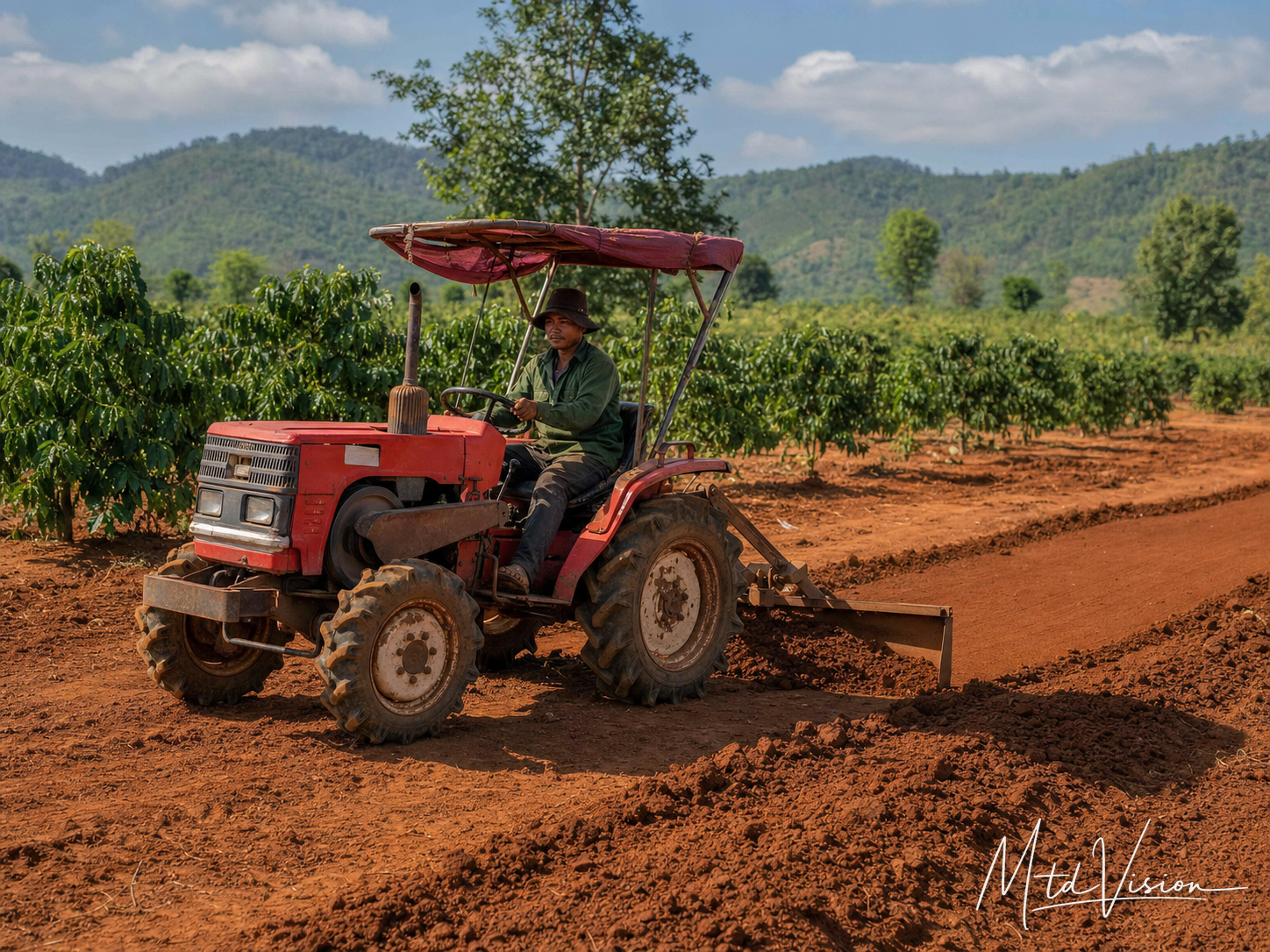 bi čuk: To use a tractor to clear or level land.