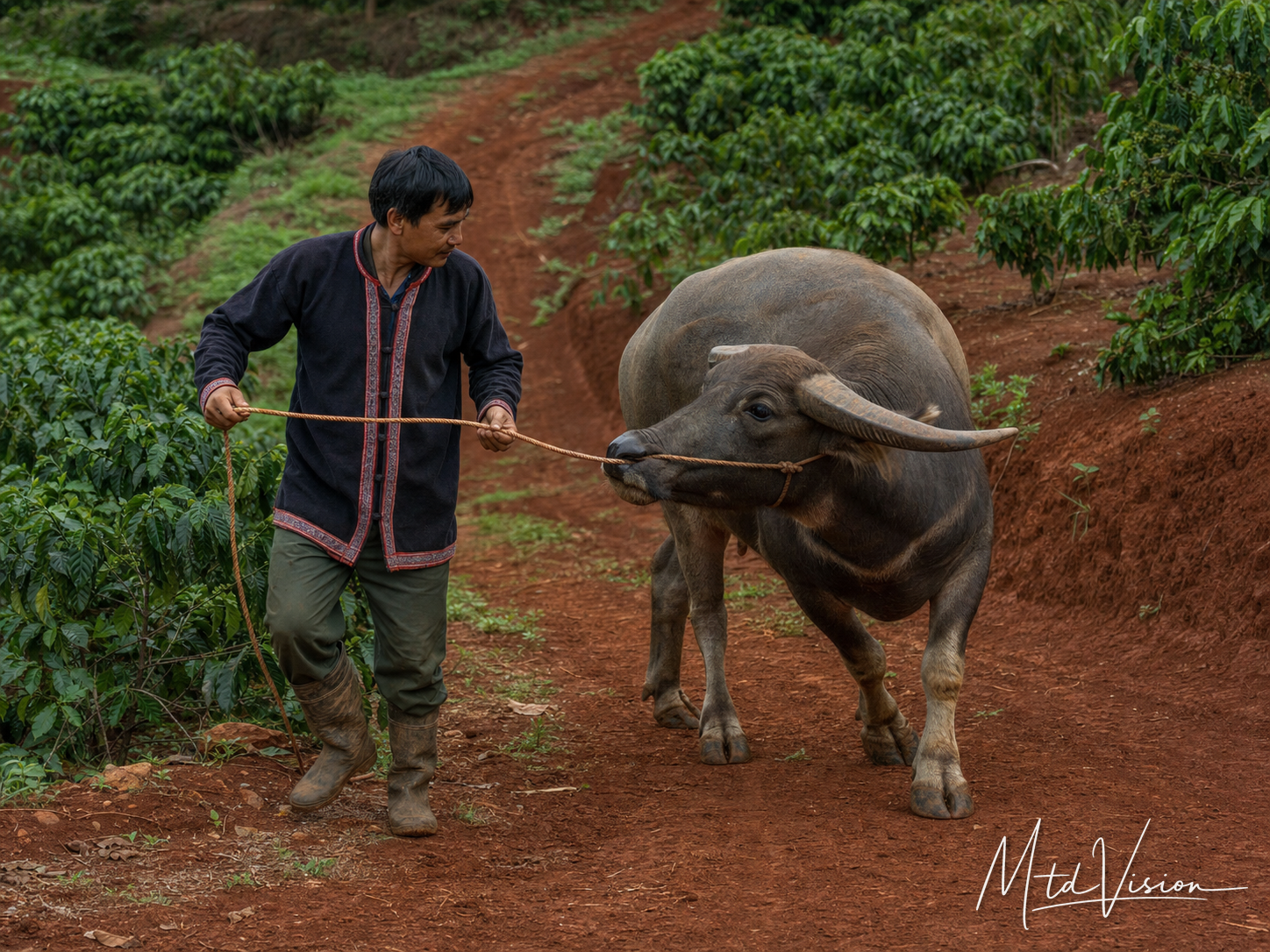 bi dai: To make turn.