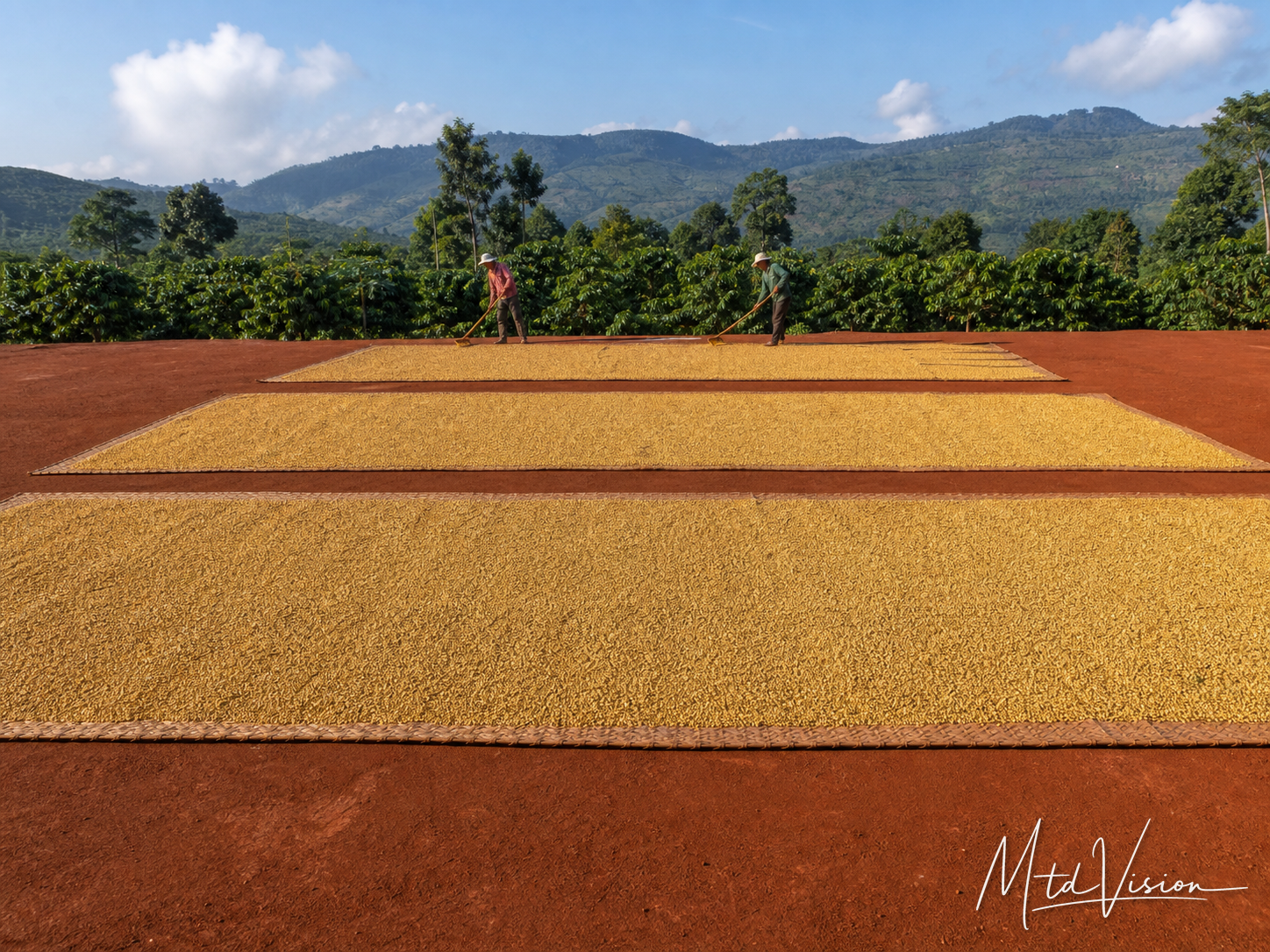 Flat or level (of land or sand).