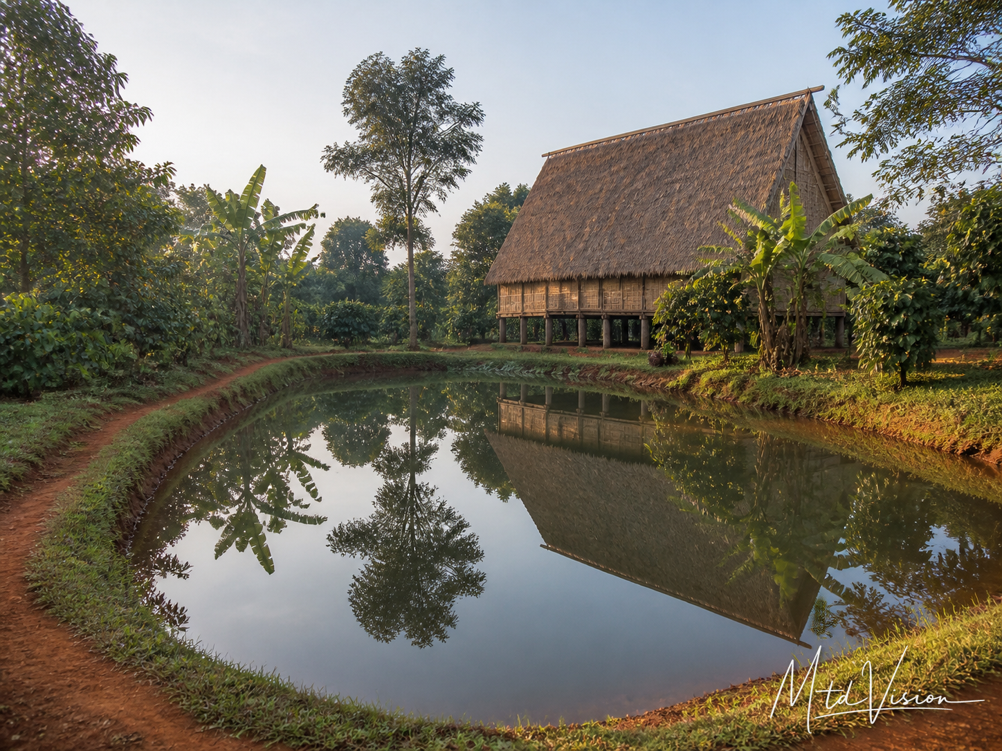 Pond.