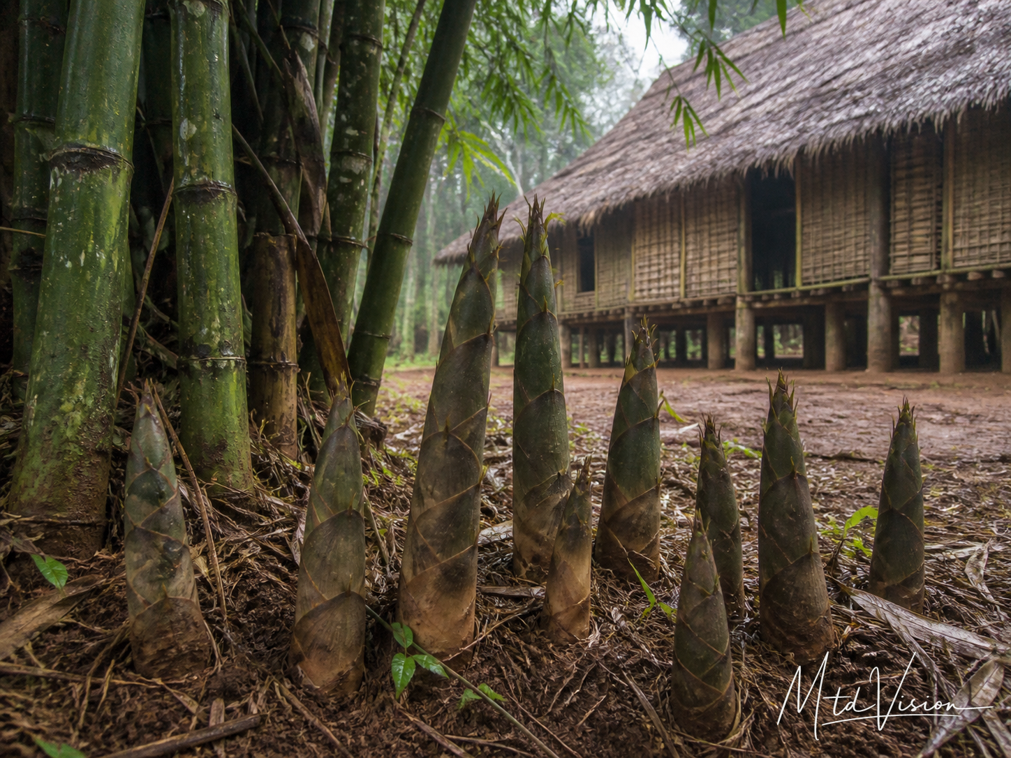 bi Êbŭng: Having many bamboo shoots.
