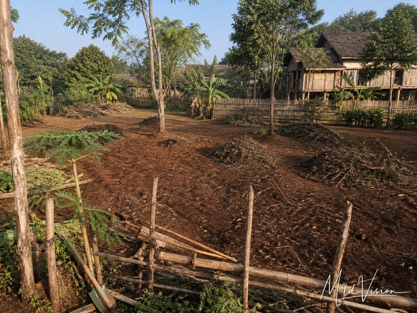 Land cleared for cultivation.